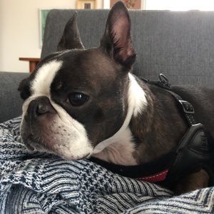 Meet your Posher, Sarah